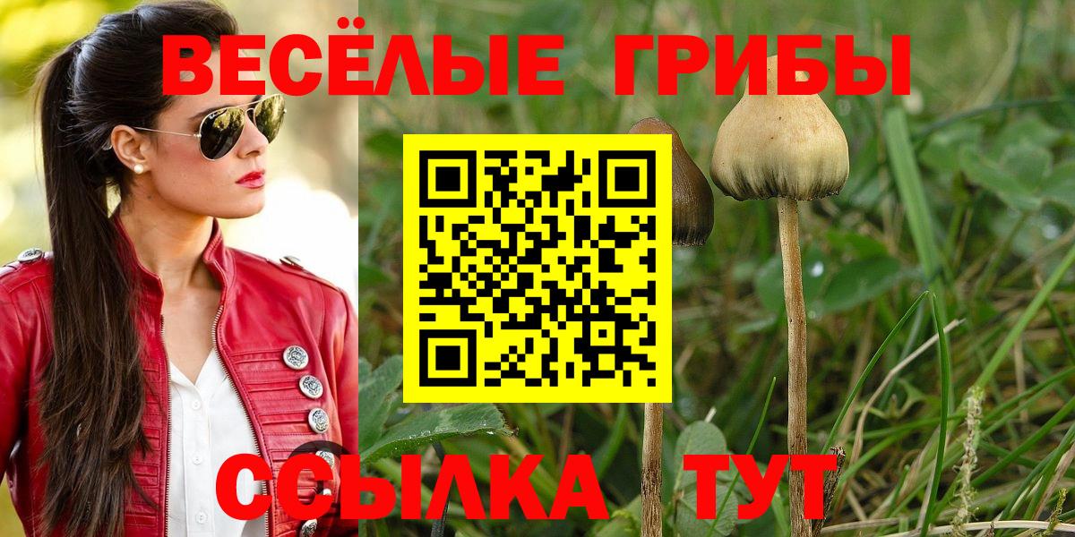 Кандалакша  Галлюциногенные грибы MAGIC MUSHROOMS  Вход с VPN  Псилоцибиновые грибы прущие грибы 