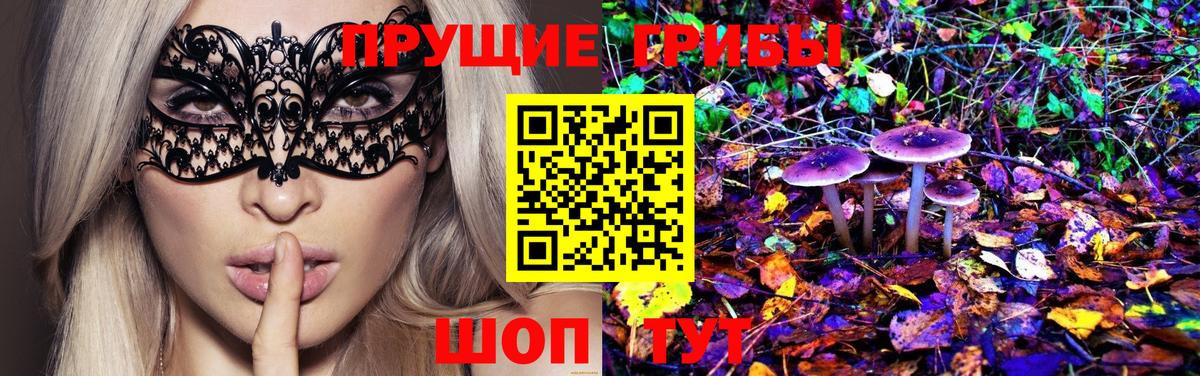 Галлюциногенные грибы Psilocybe Кандалакша